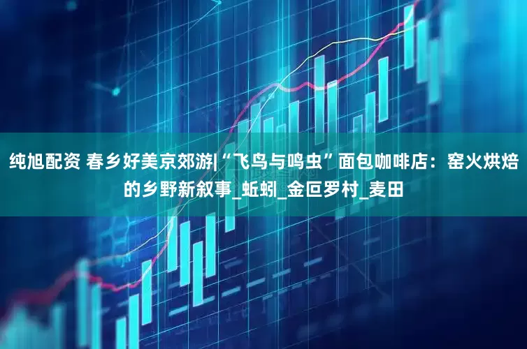 纯旭配资 春乡好美京郊游|“飞鸟与鸣虫”面包咖啡店：窑火烘焙的乡野新叙事_蚯蚓_金叵罗村_麦田