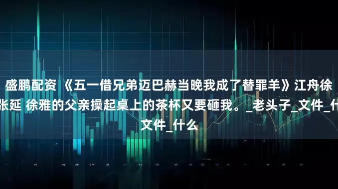 盛鹏配资 《五一借兄弟迈巴赫当晚我成了替罪羊》江舟徐雅张延 徐雅的父亲操起桌上的茶杯又要砸我。_老头子_文件_什么