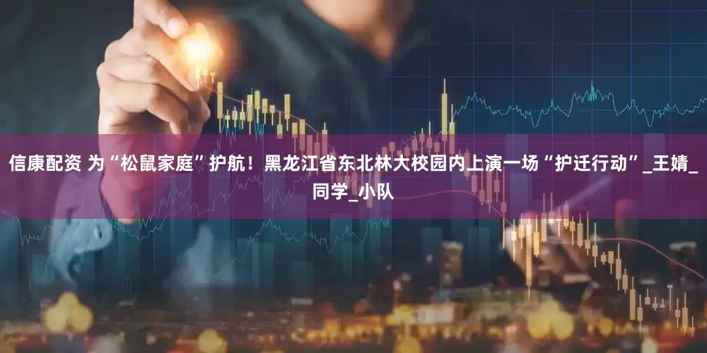 信康配资 为“松鼠家庭”护航！黑龙江省东北林大校园内上演一场“护迁行动”_王婧_同学_小队