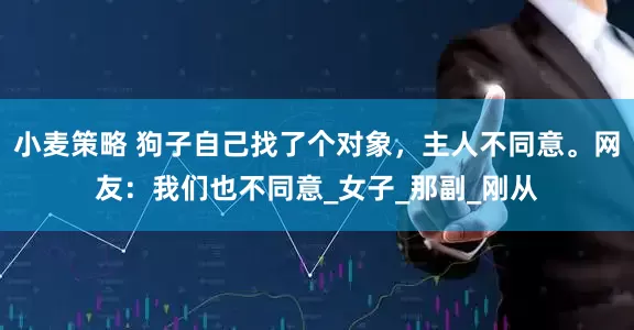 小麦策略 狗子自己找了个对象，主人不同意。网友：我们也不同意_女子_那副_刚从